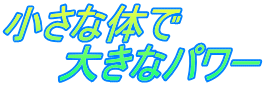 小さな体で 　　大きなパワー